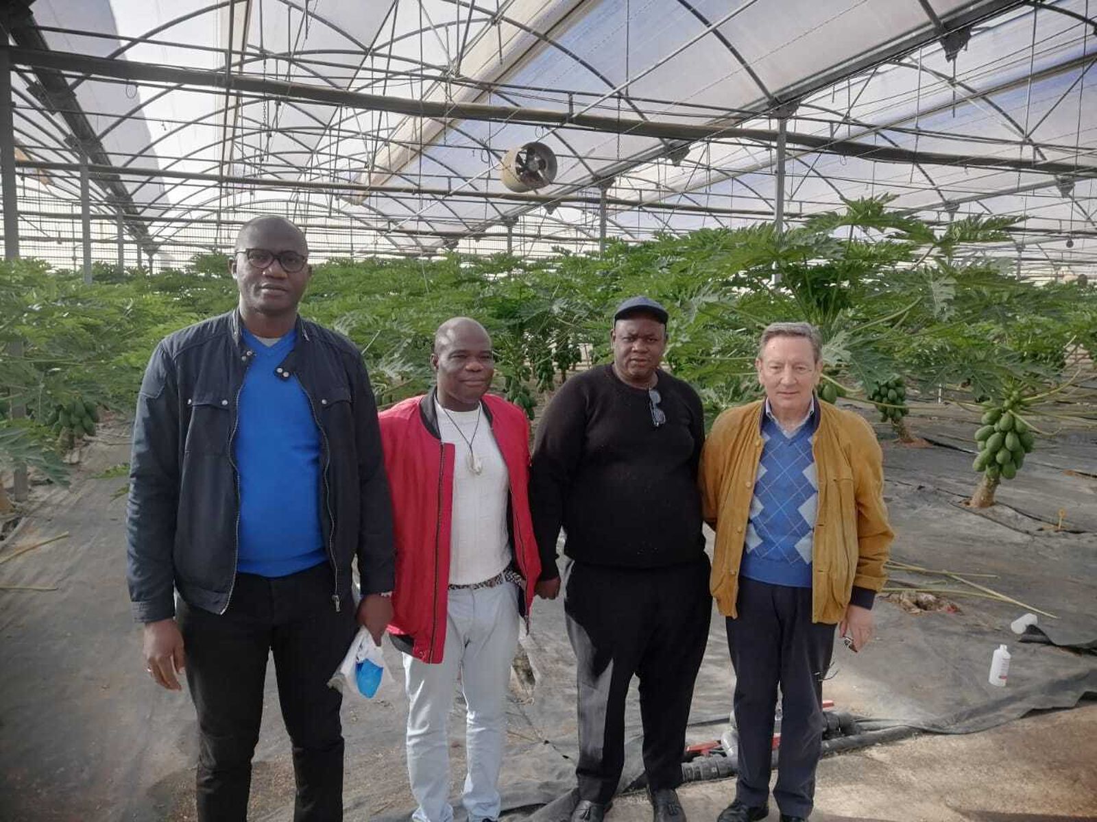 IU y Partido Comunista muestra a una ONG de Costa de Marfil el modelo agrícola de Almería