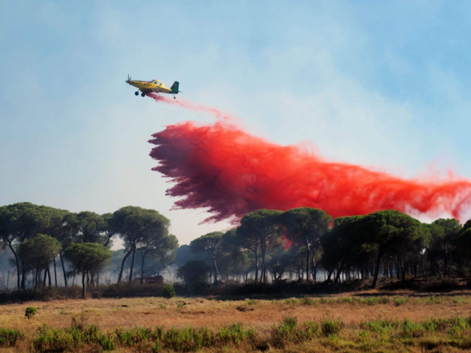 La lucha contra el fuego en el incendio de Malpica