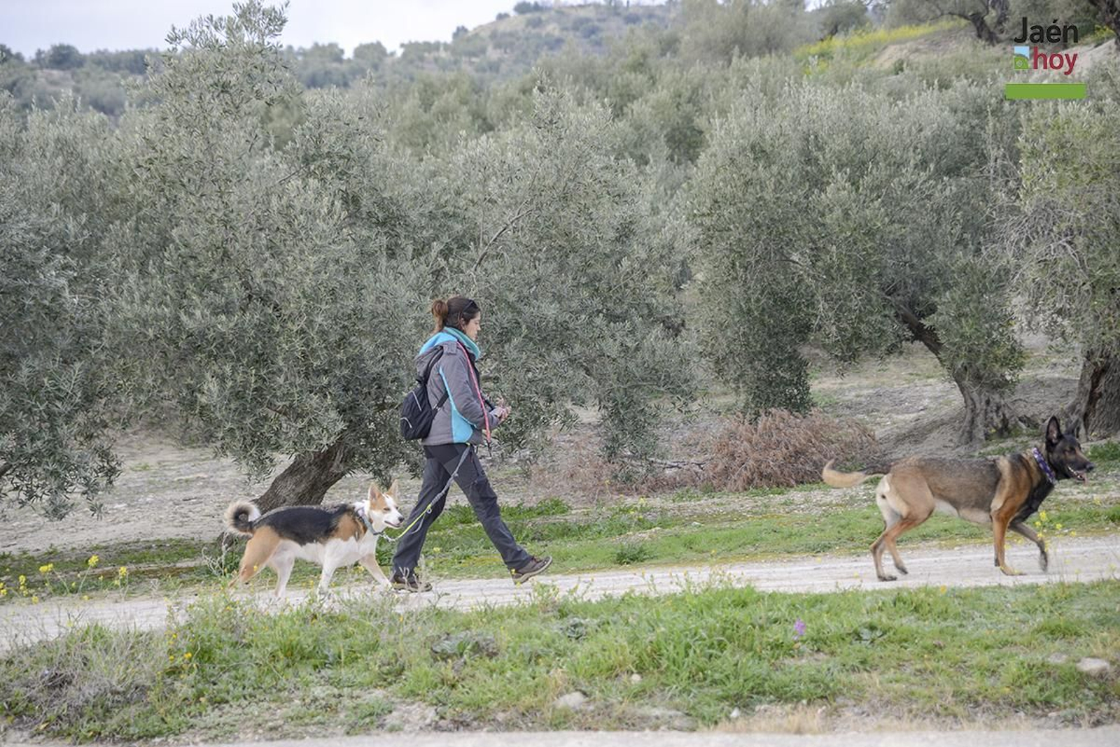 La Vía Verde del Aceite: un paseo con vistas para disfrutar en bicicleta o haciendo senderismo