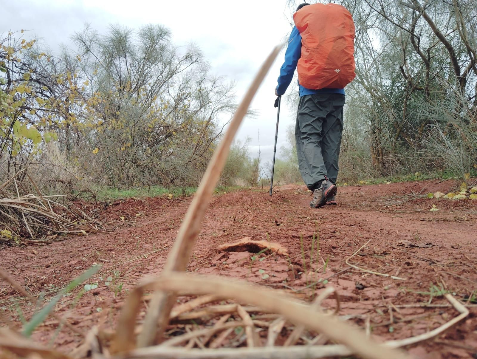Otra imagen del Camino.