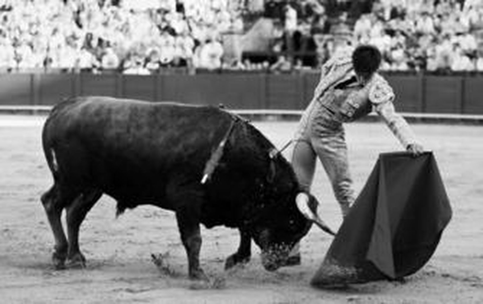 Rubén Pinar en un natural al novillo con el que debutó en Sevilla y al que cortó una oreja.