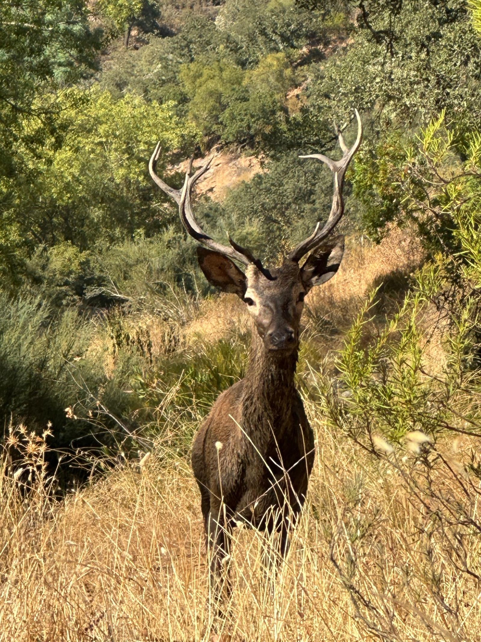 El turismo de naturaleza ha cobrado un papel muy importante en los últimos años.
