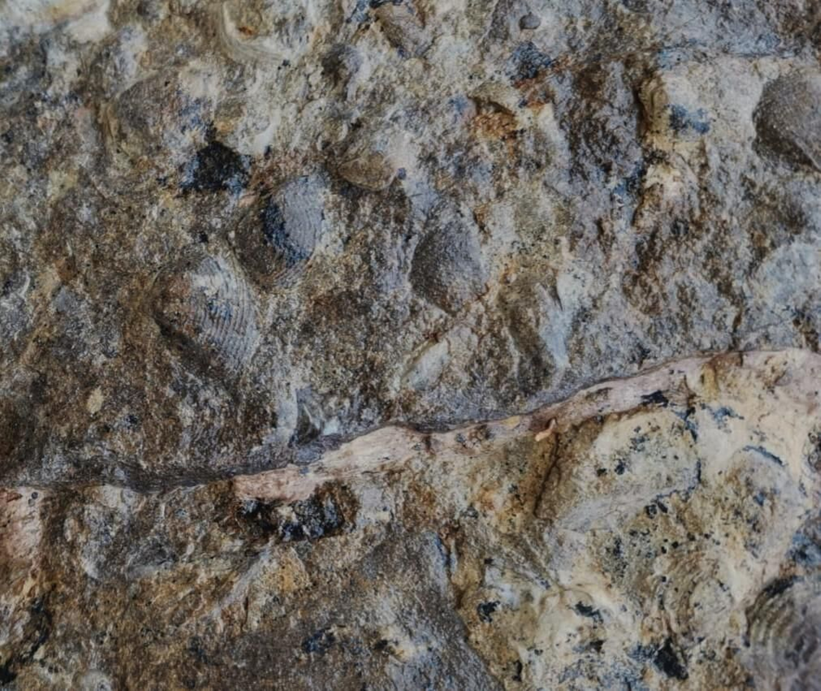 Una imagen del yacimiento.