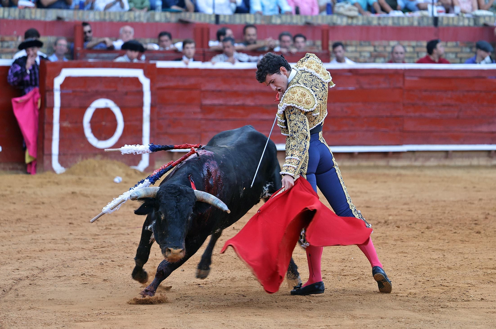 Toros La Merced 2025: Imágenes de la Novillada de Javier Zulueta, Cristian González y Carlos Tirado