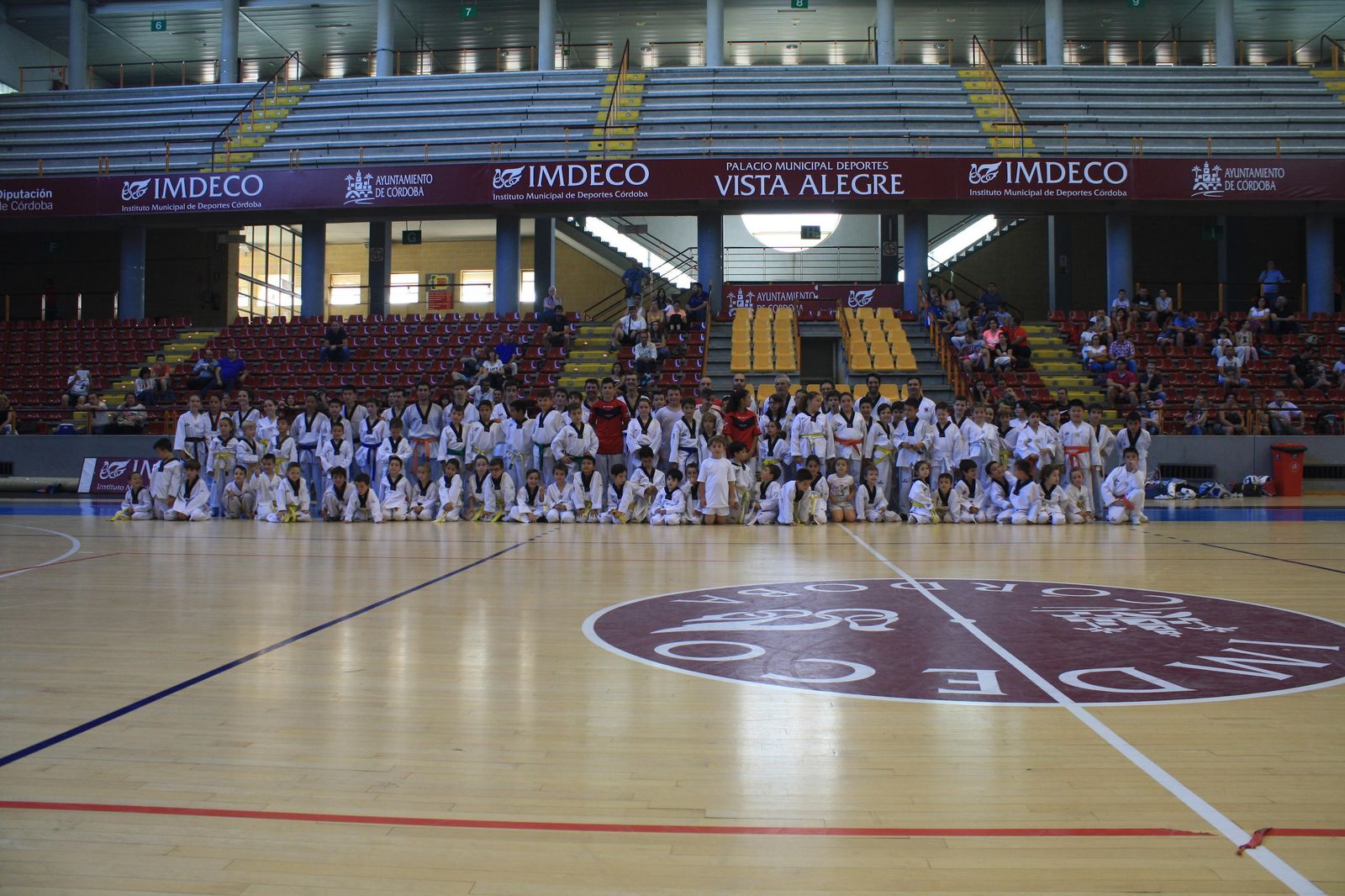 Vista Alegre acoge una jornada de convivencia de varios clubes de taekwondo