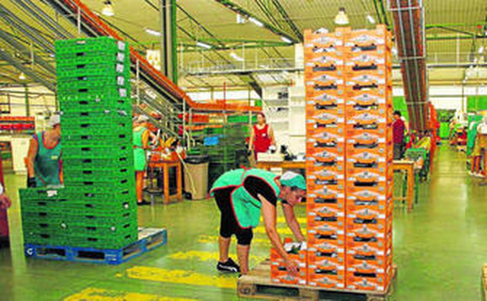 agrupaejido En la senda del crecimiento