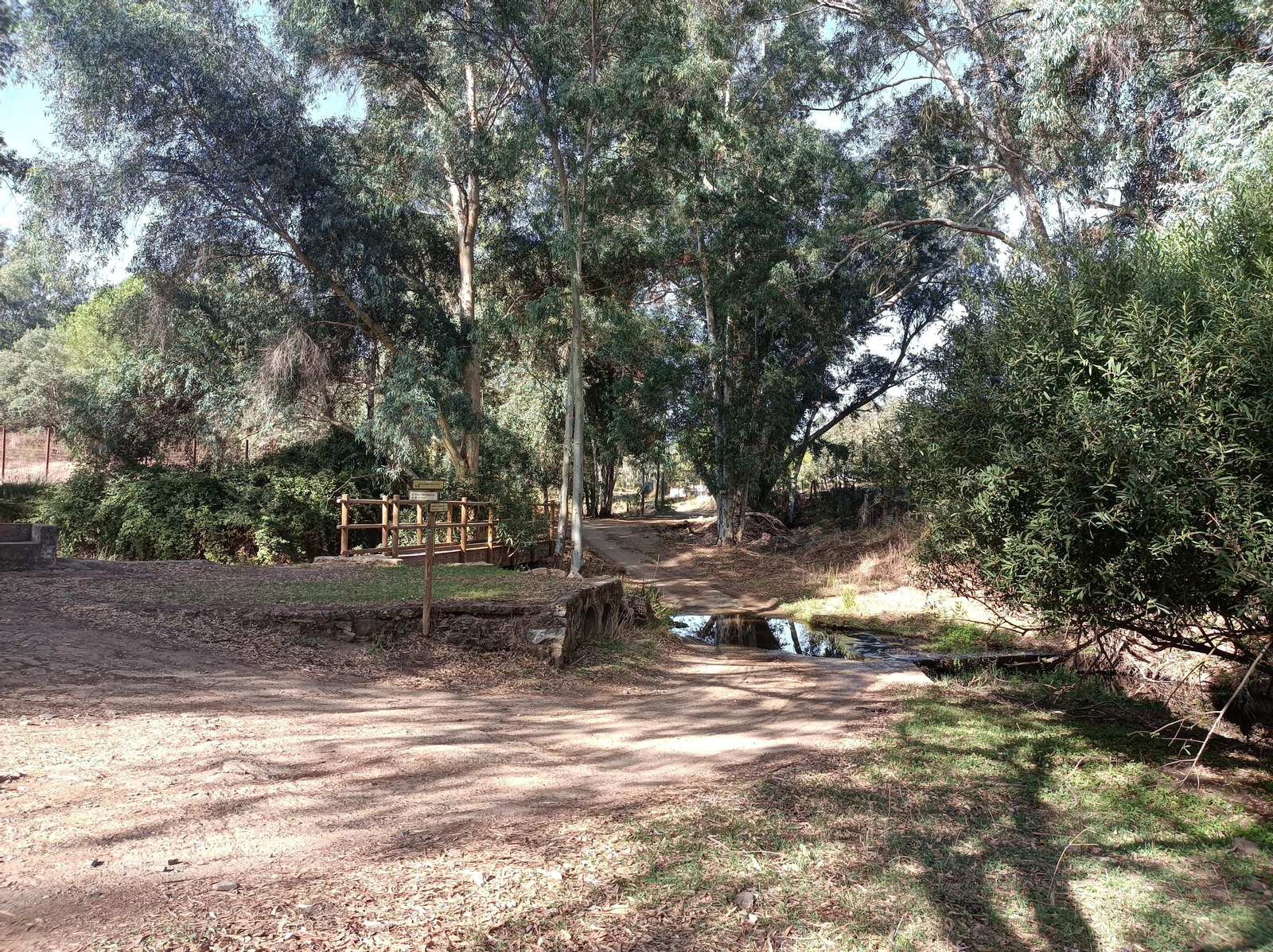 Fotos de la ruta de Los Brezales-Umbría de Santa Fe en el Ronquillo