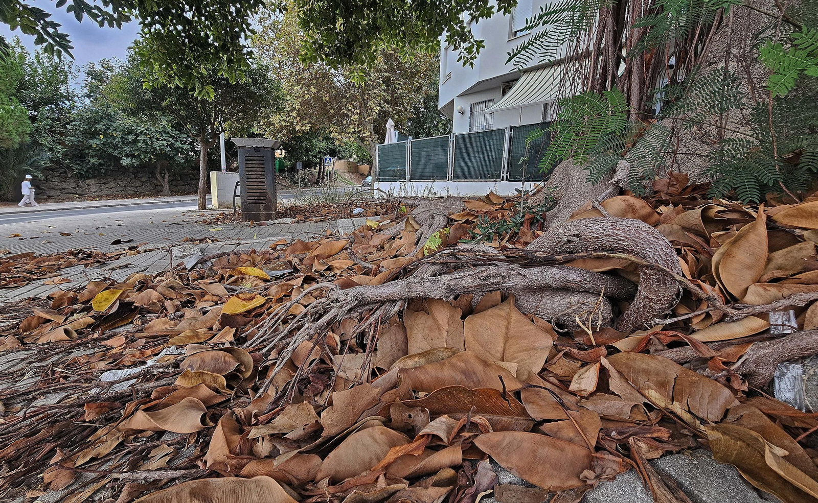 Fotos de los desperfectos en las barriadas de Getares en Algeciras