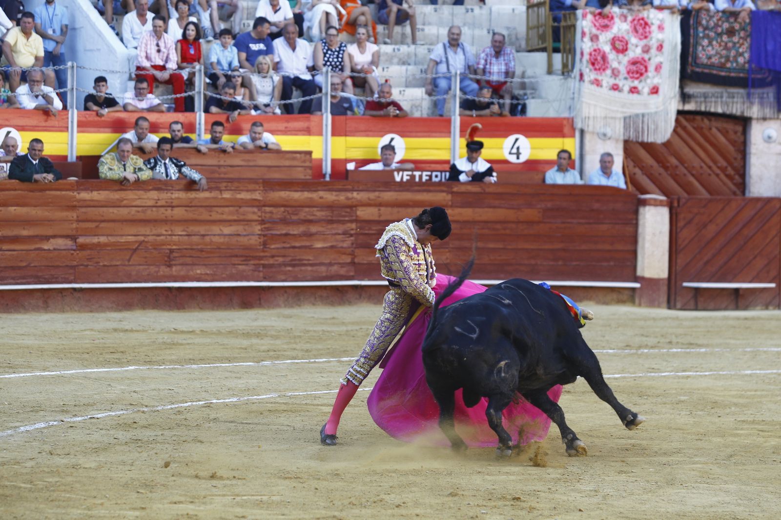 Fotogalería de la novillada de la Feria Taurina de Almería 2022