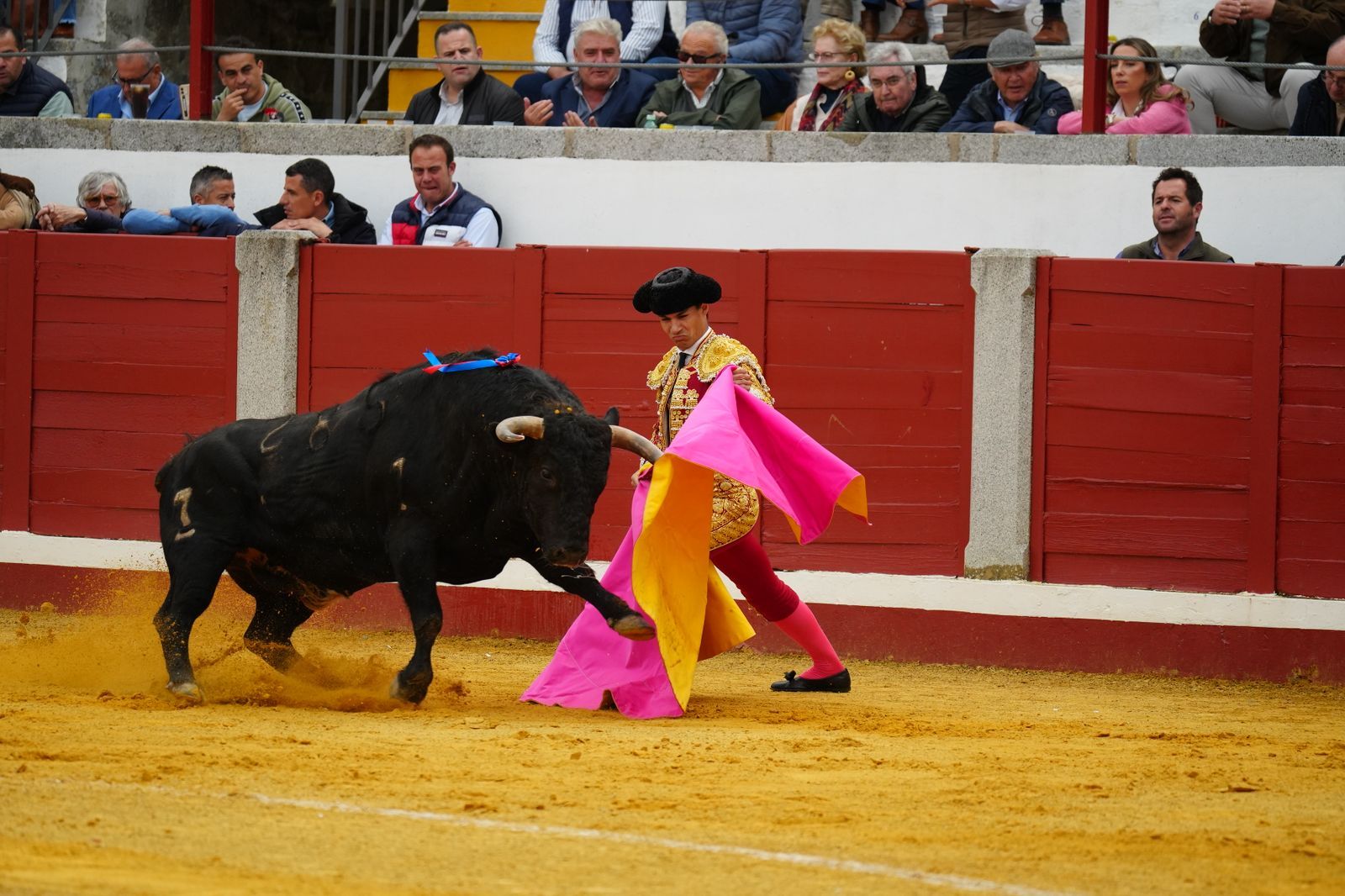 La corrida de primavera con Talavante, Pablo Aguado y Juan Ortega en Pozoblanco, en imágenes