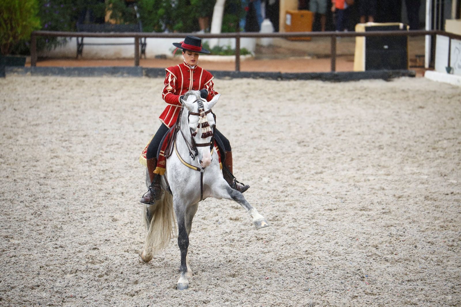 La celebración de la VI Copa de España de Alta Escuela en Córdoba, en imágenes