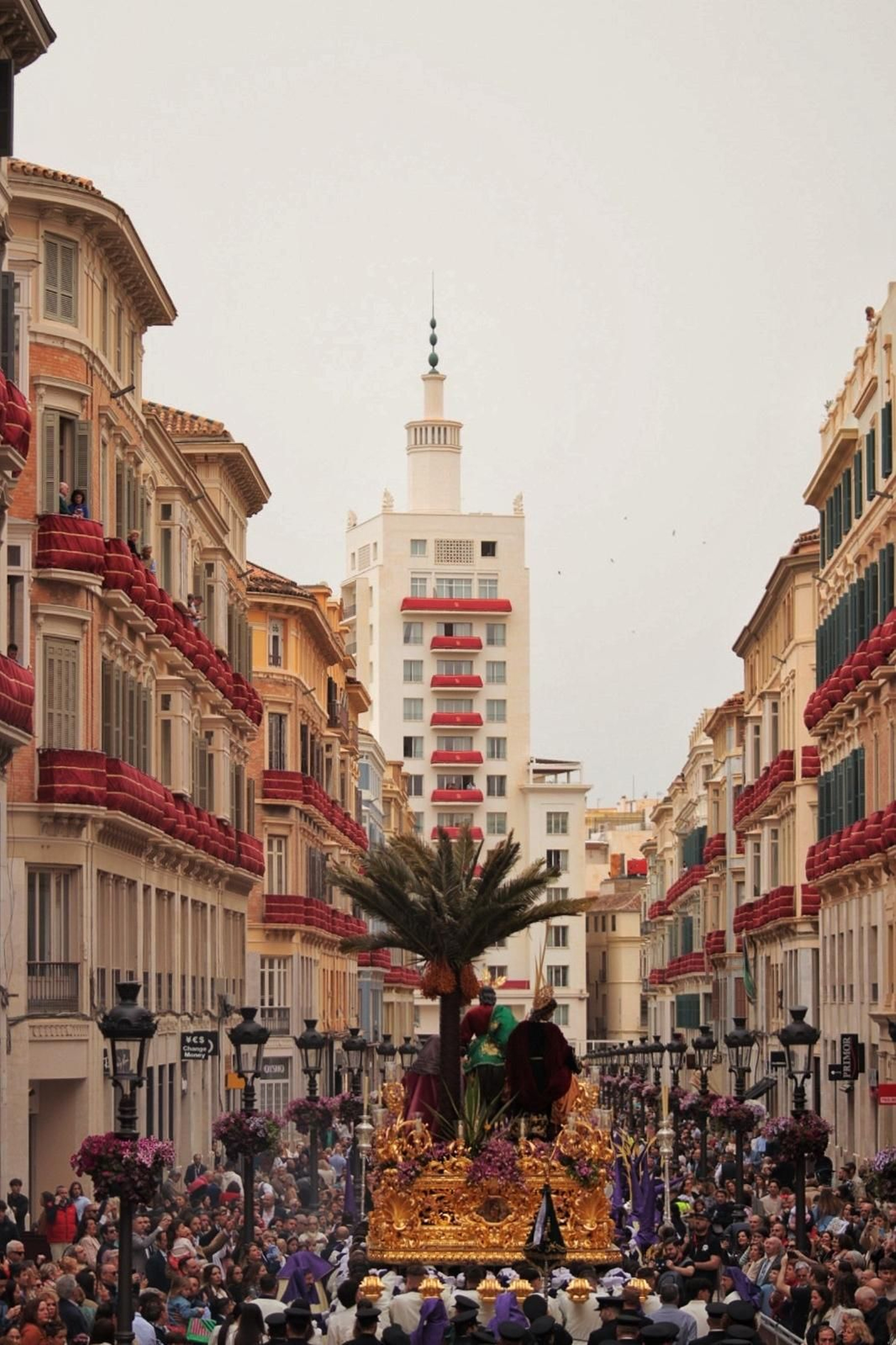 Las fotos de Pollinica este Domingo de Ramos en Málaga