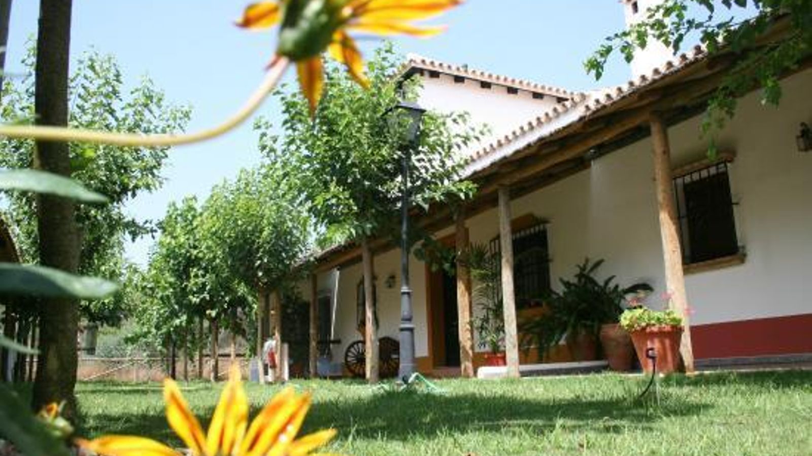 Hotel Pequeño Rocío