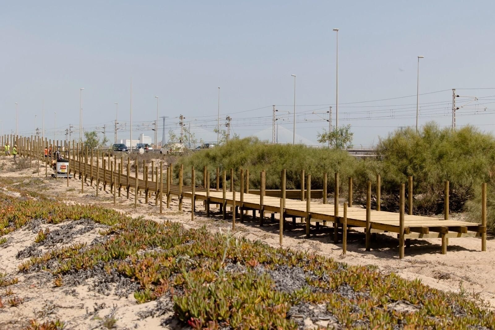 La apuesta por la bicicleta como medio de transporte es muy importante.