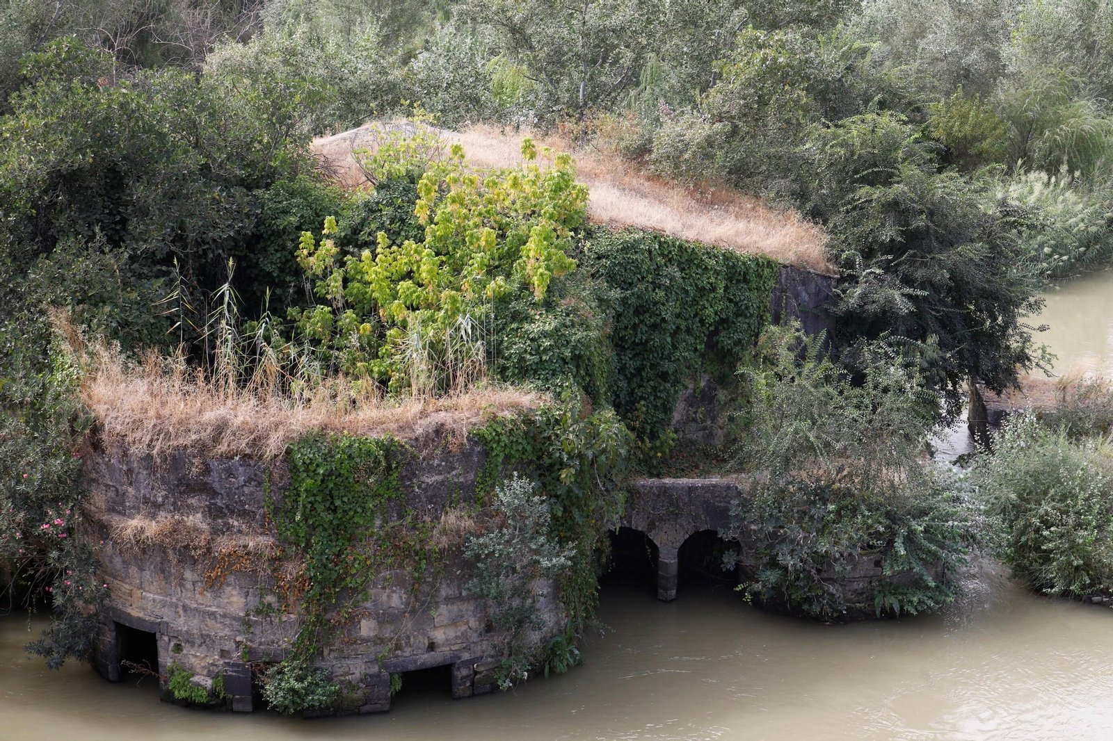 Las imágenes de los Molinos de Córdoba en el río Guadalquivir