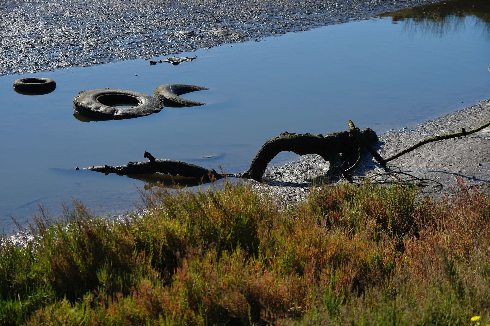 Fotos de la contaminación en el paraje natural marismas del Río Palmones