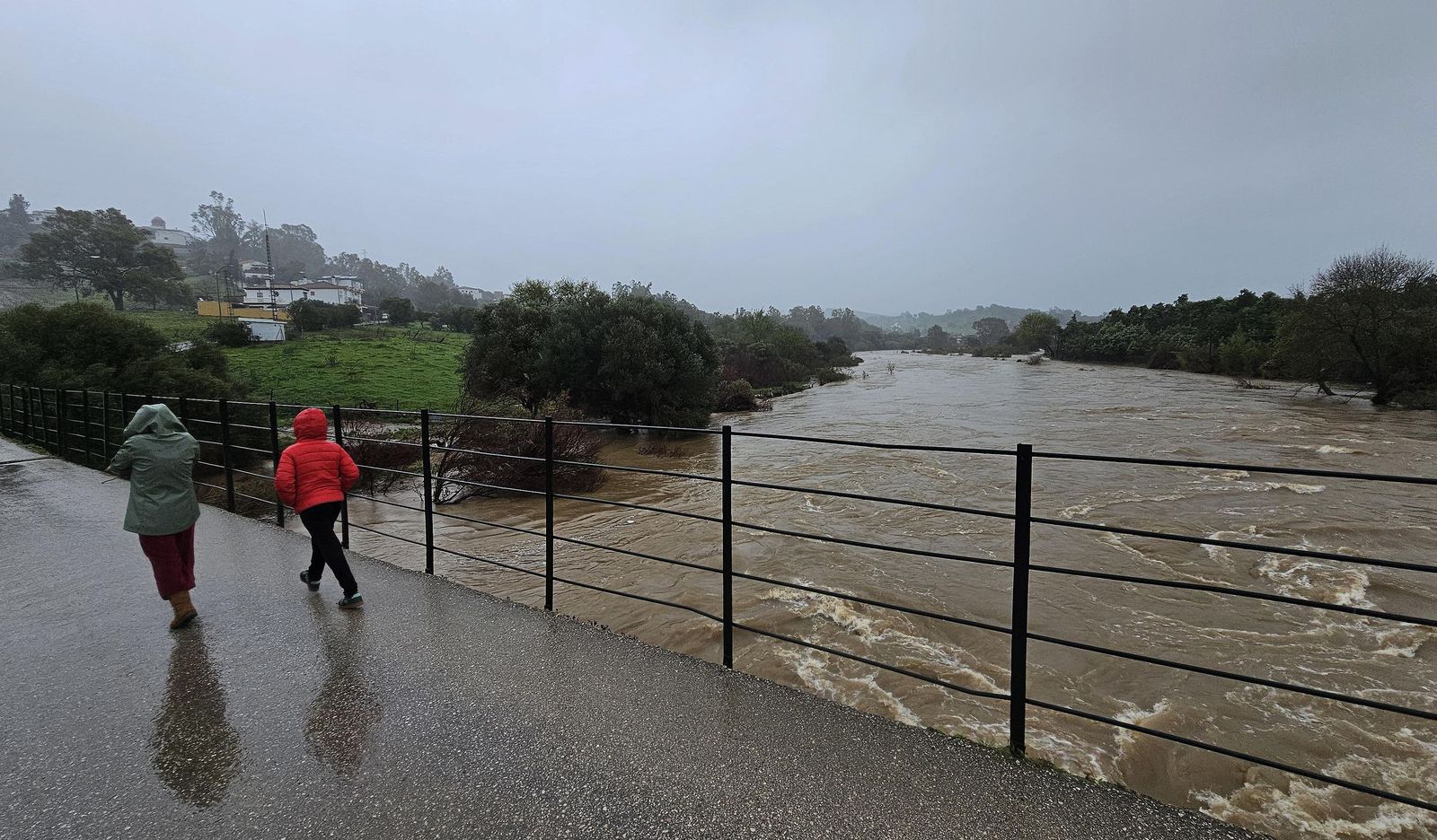 Fotos del temporal de lluvia y viento por la borrasca Kristin en Jimena de la Frontera, San Pablo de Buceite y San Martín del Tesorillo