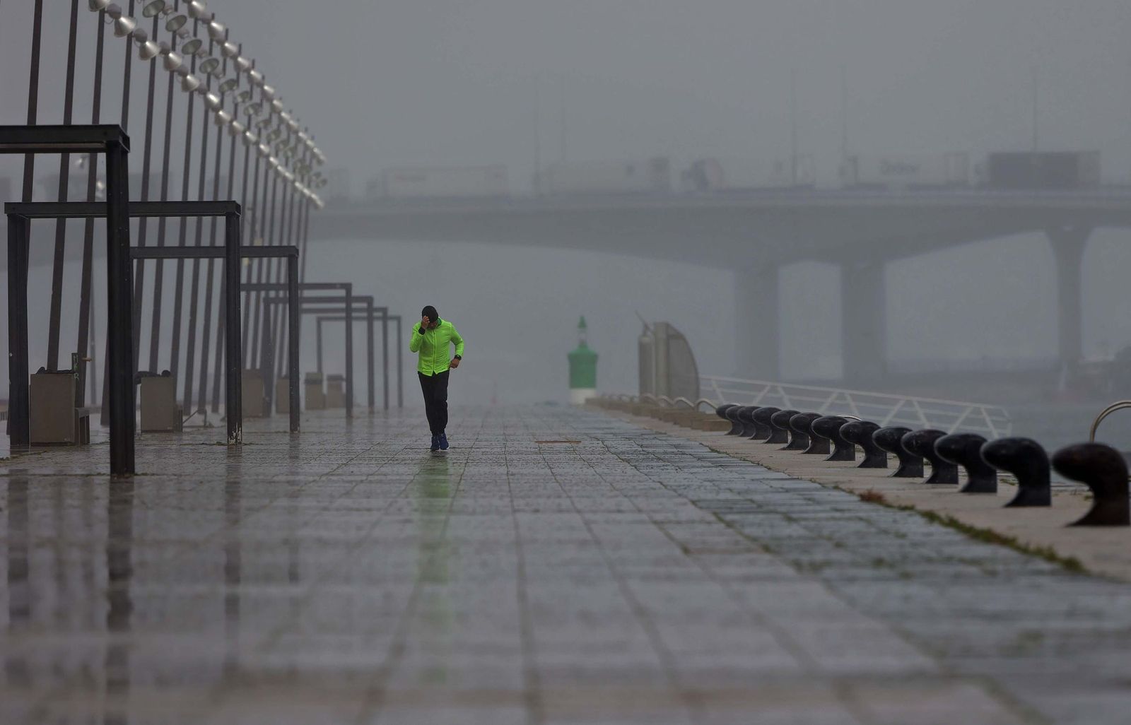 BORRASCA HERMINIA ERASMO (166)