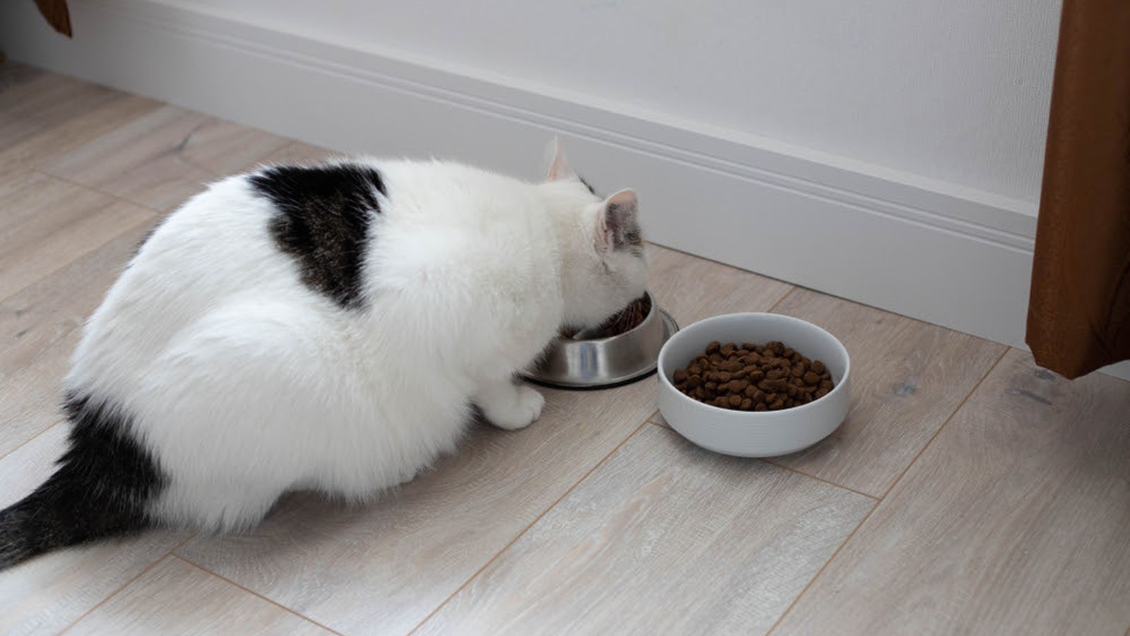 La falta de ejercicio y la sobrealimentación, causas principales de la obesidad.