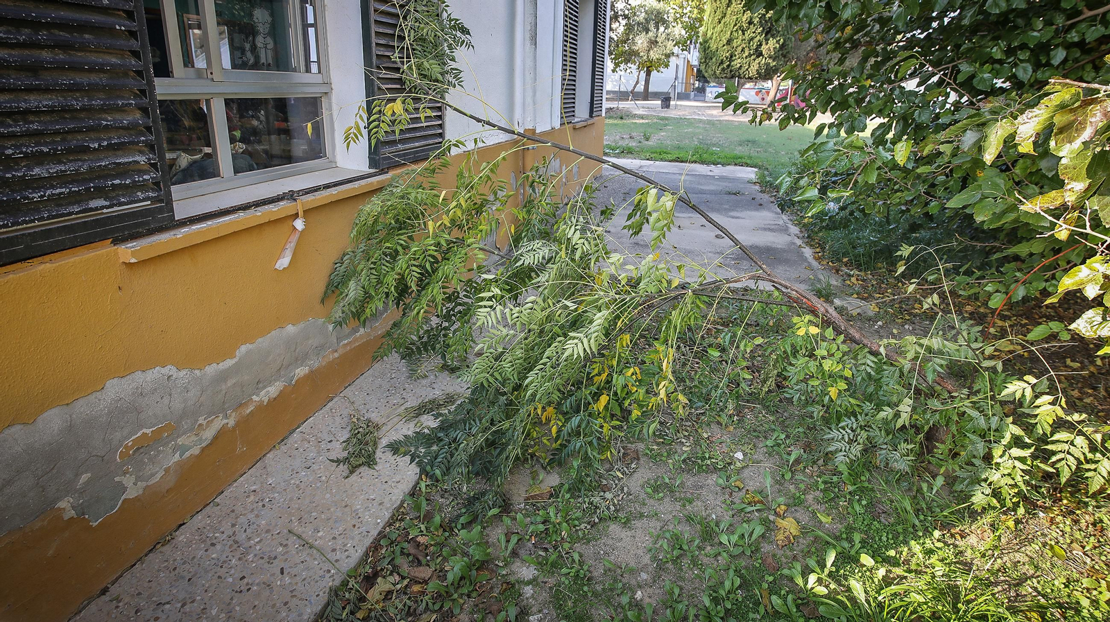 Imágenes del mal estado del CEIP Tartesos