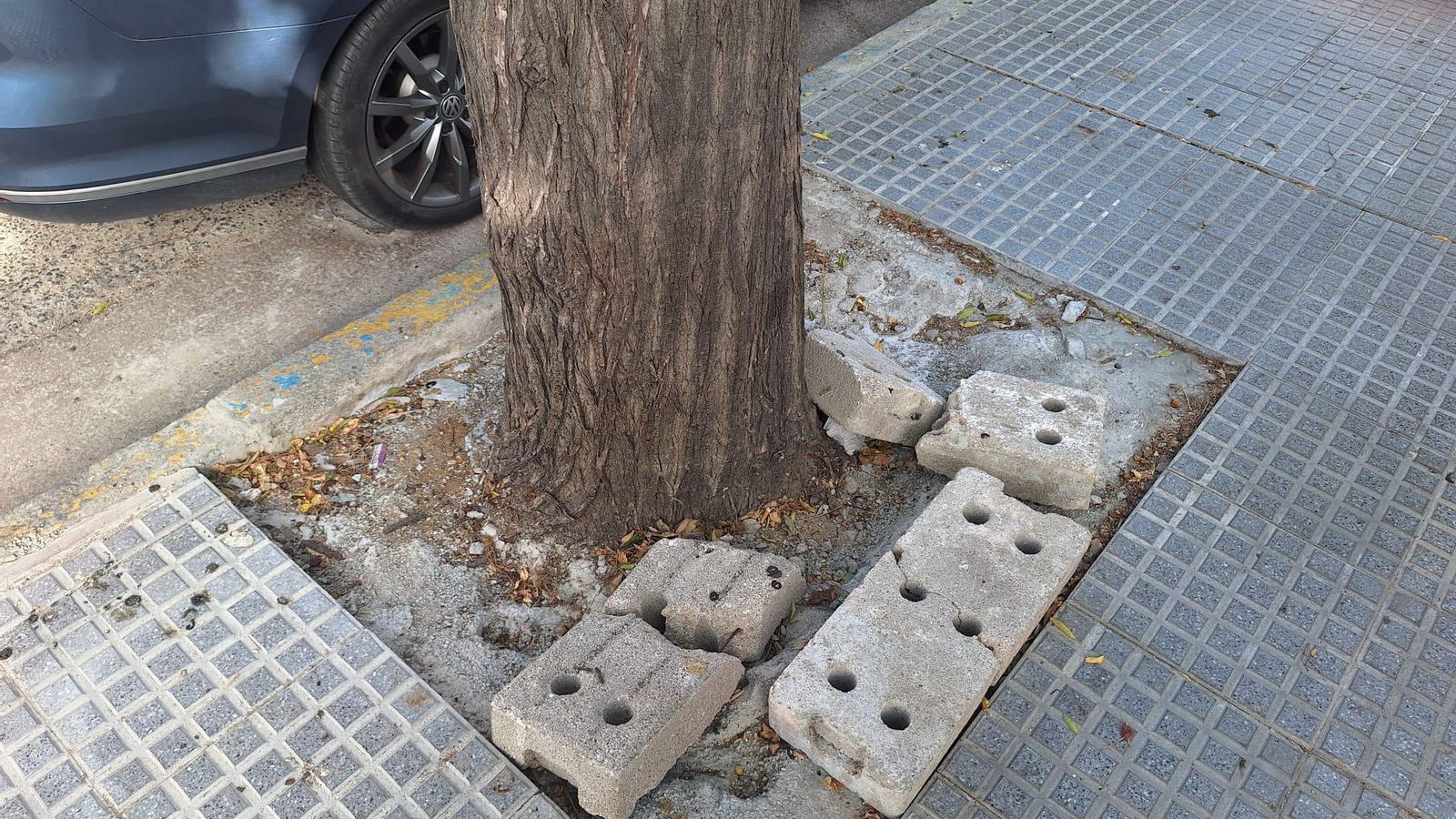 Restos de la obra que permanecen en uno de los alcorques de la acera arreglada en la Avenida de Andalucía.