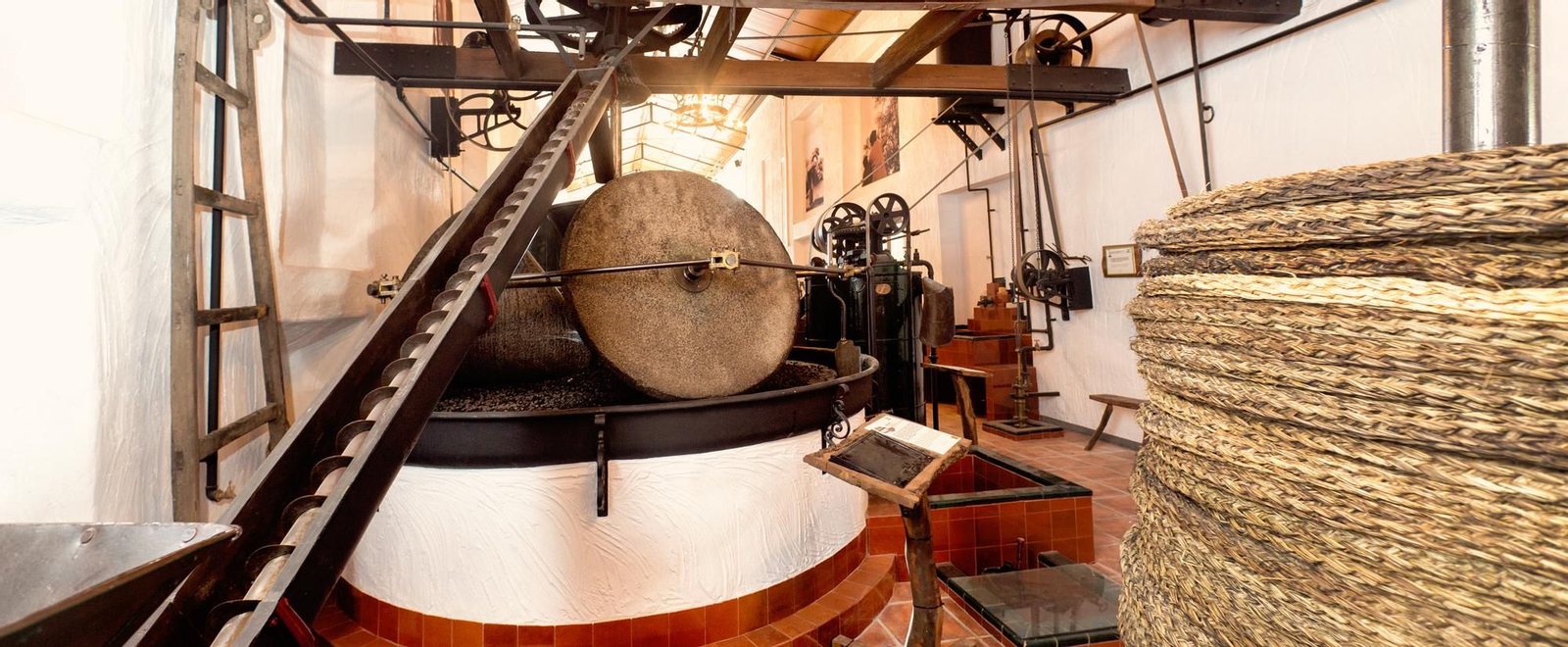 Museo del Aceite Alcalá Oliva.