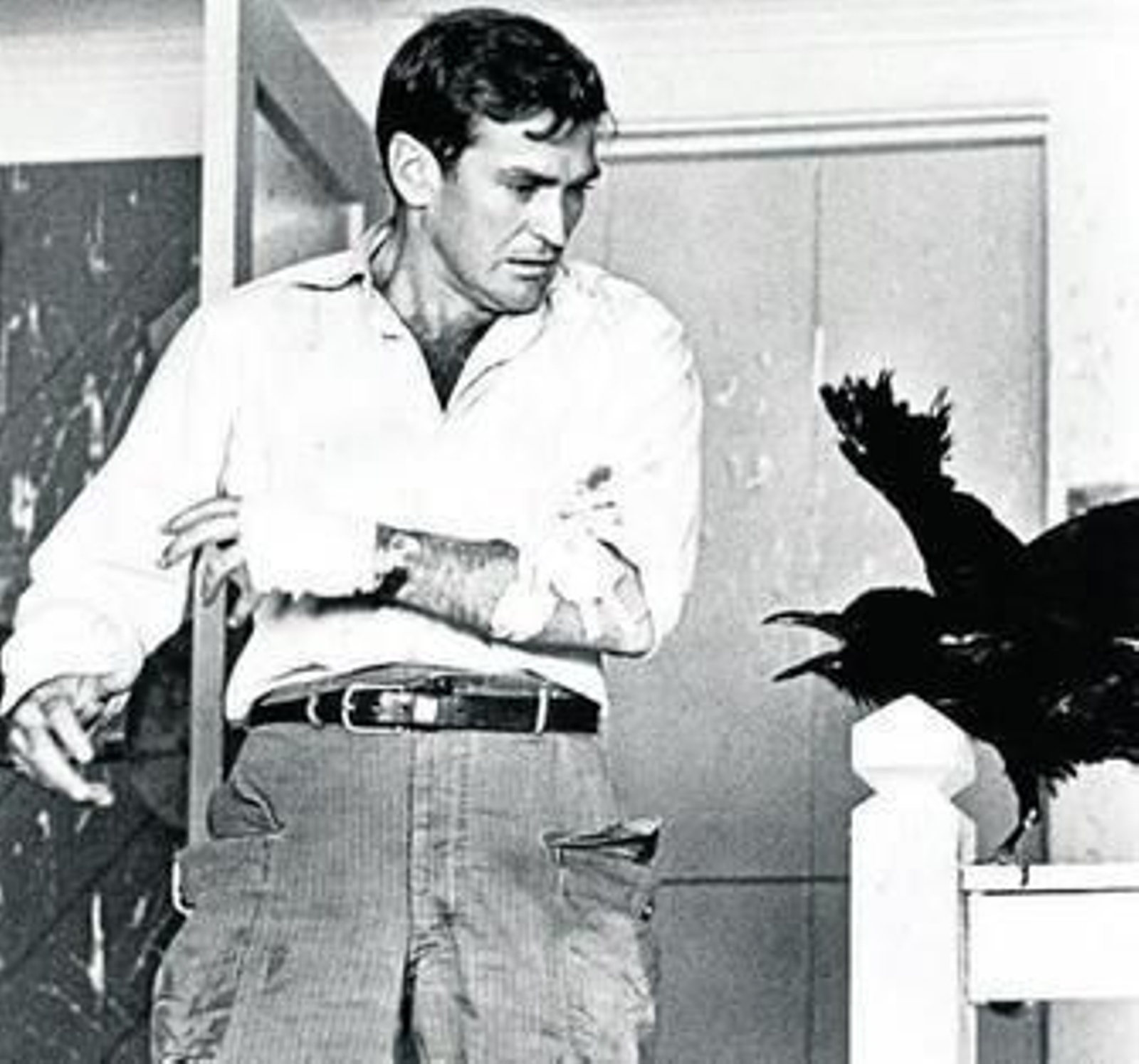Rod Taylor, en 'Los pájaros' (1963) de Alfred Hitchcock.
