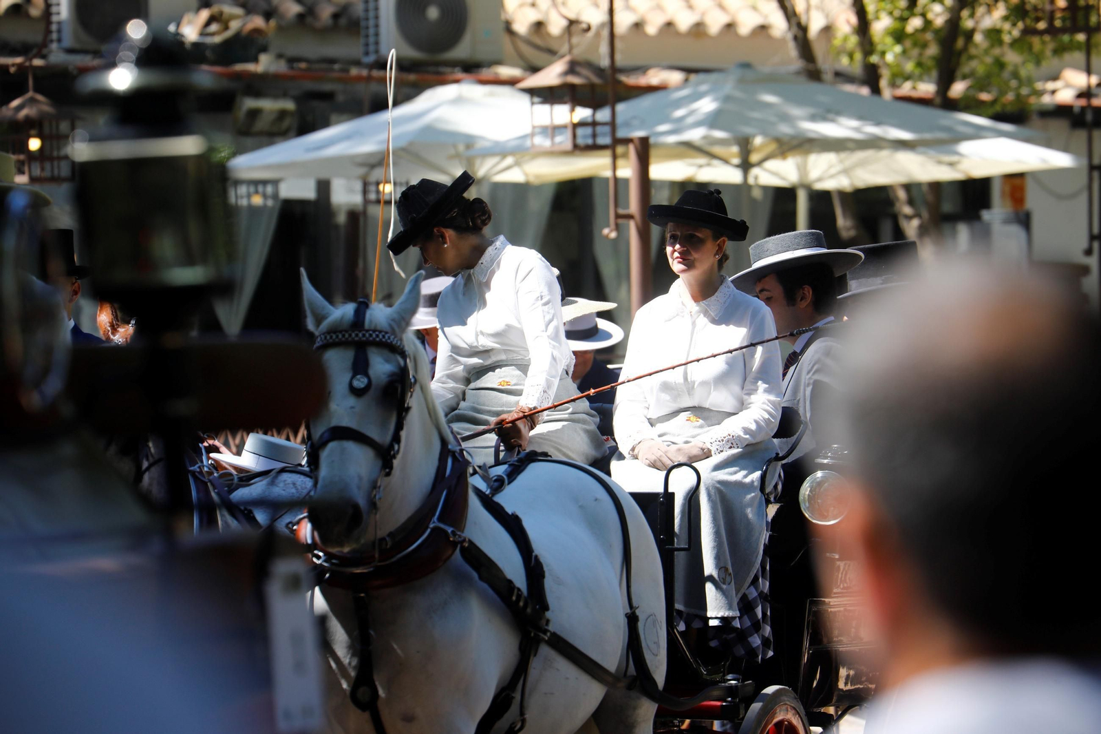 La exhibición de carruajes de tradición Nuestra Señora de la Salud, en imágenes
