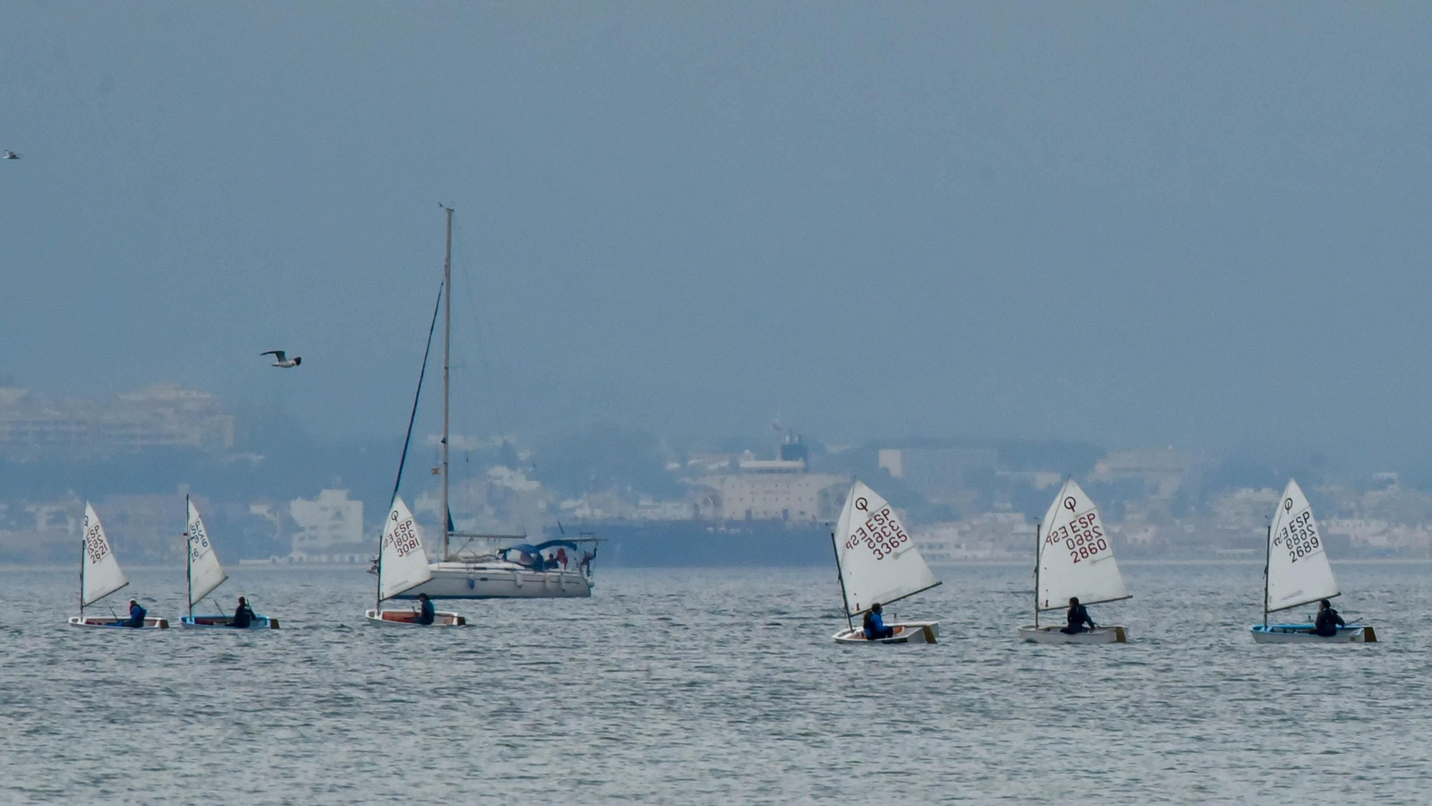 Las fotos de la primera jornada de la Copa de Andalucía de Óptimist en La Línea