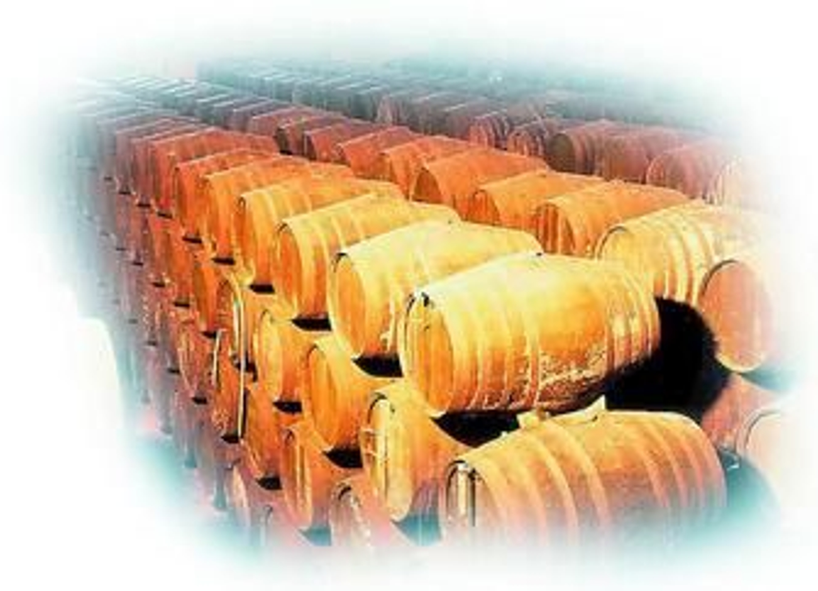El Jerez más 'fino' El Jerez más 'fino'
