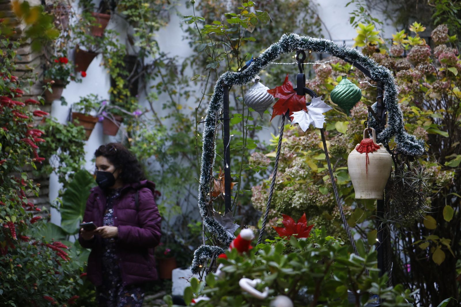 Las fotografías de los Patios de Córdoba en Navidad