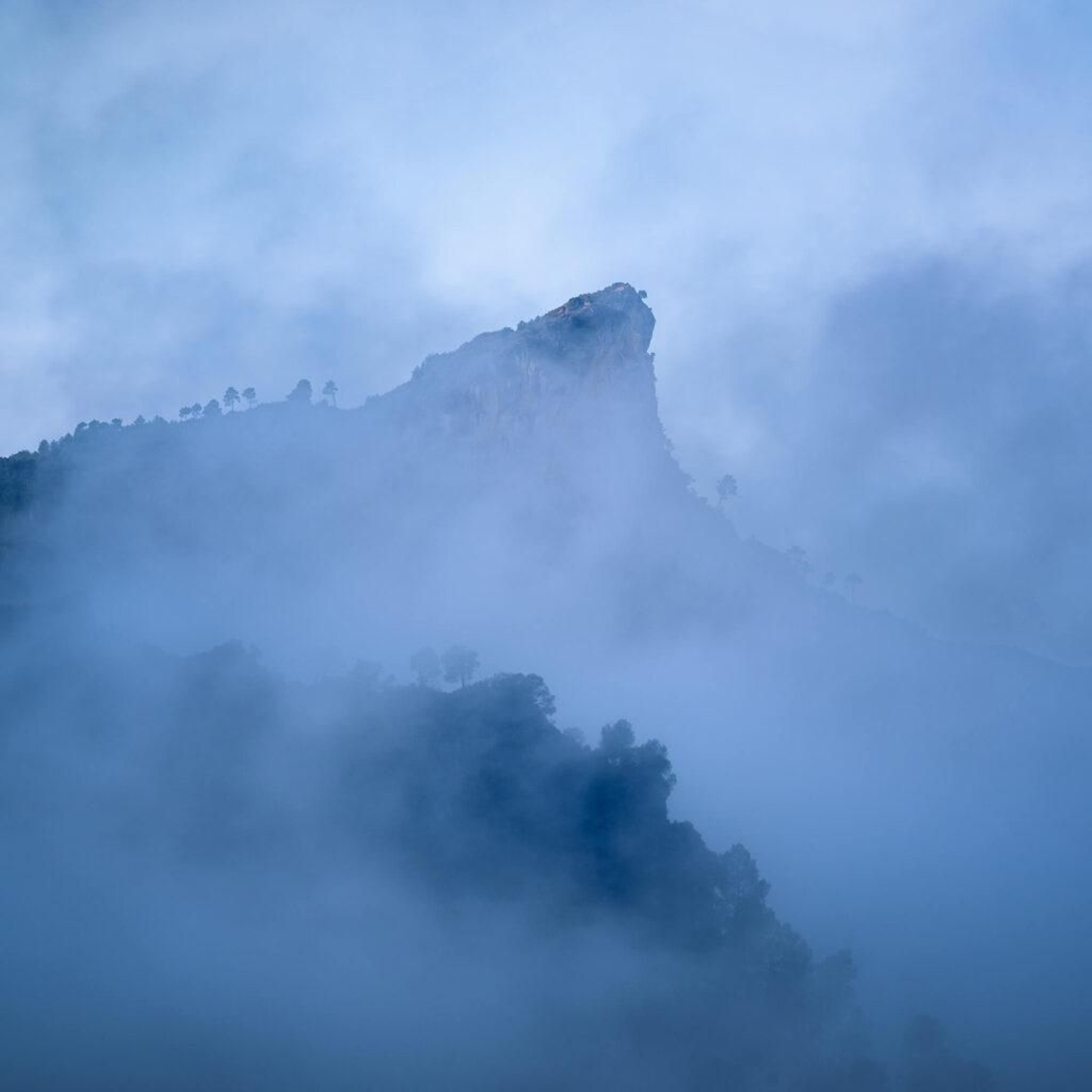 Parque Natural de la Sierra de Cazorla, Segura y Las Villas