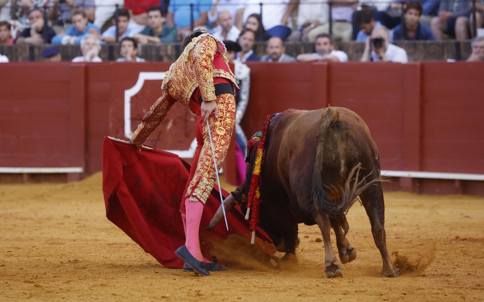 Las imágenes de la novillada en la Maestranza