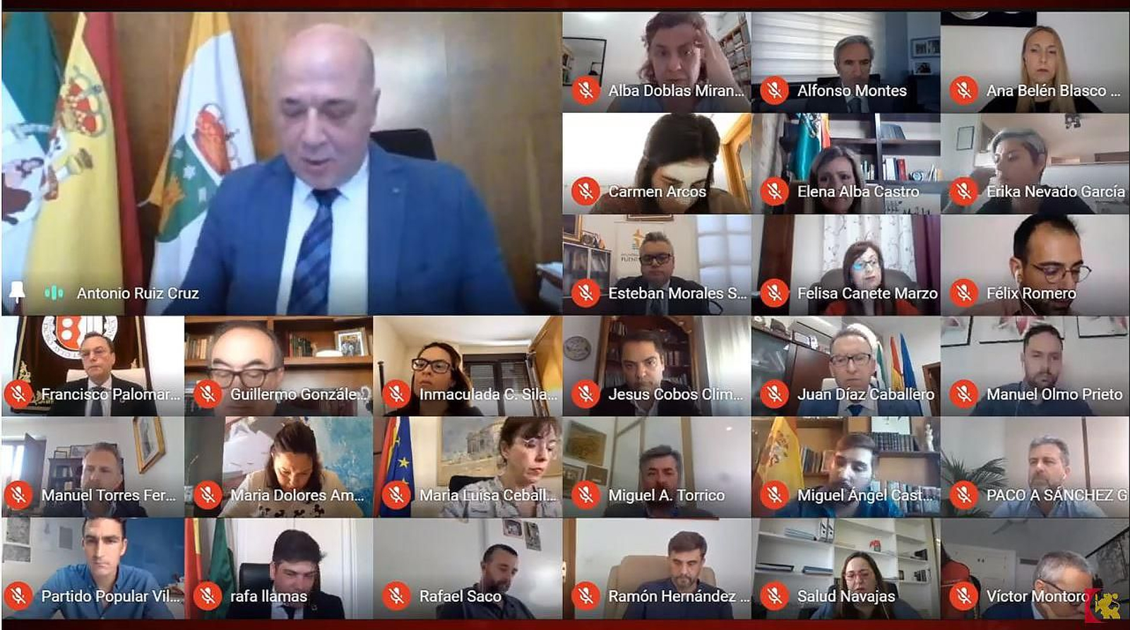 Un momento del Pleno telemático de la Diputación.