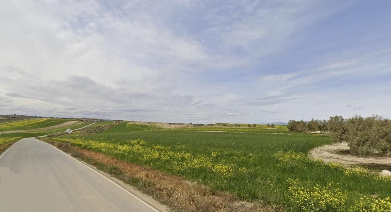 Sacan a subasta pública seis parcelas de labor secano al 40% de descuento de su valor en Chimeneas