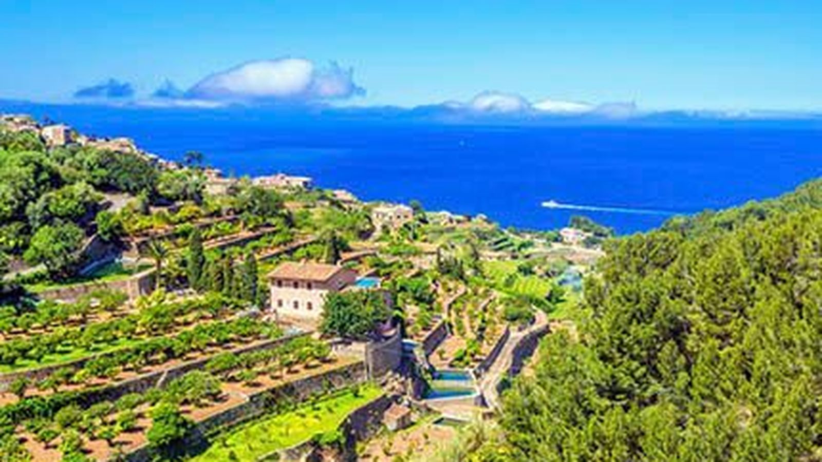 Viñedos en Banyalbufar, entre el mar y la montaña.