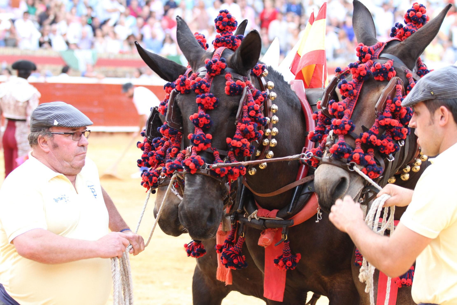 Festejo de Rejones en el coso de La Merced por Colombinas.