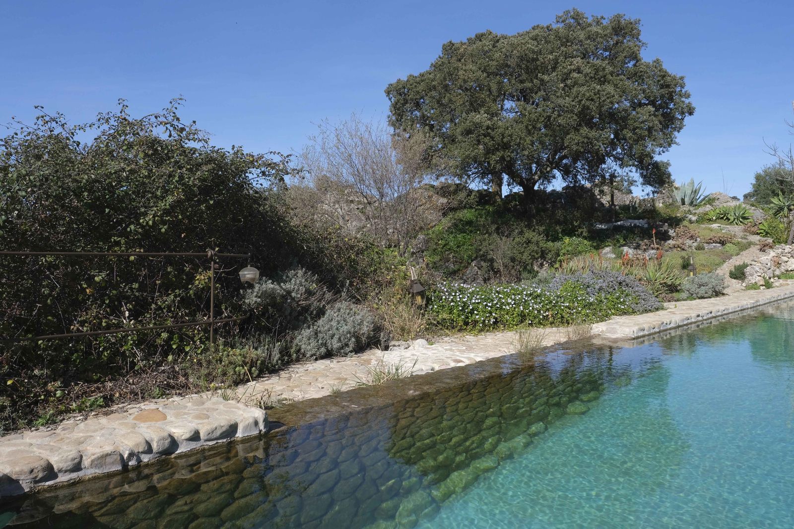 La Donaira, en fotos