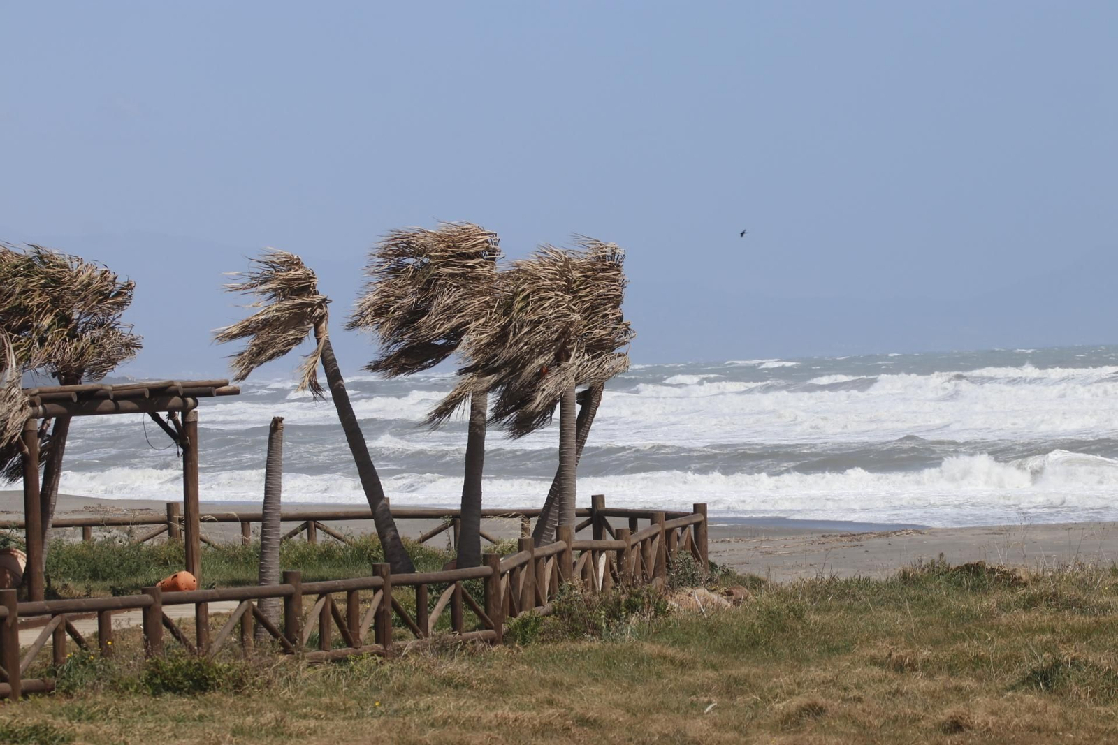 Los efectos del temporal de Levante en La Línea