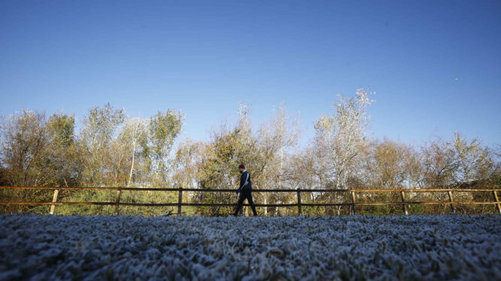 Un jardín, blanco de la helada.