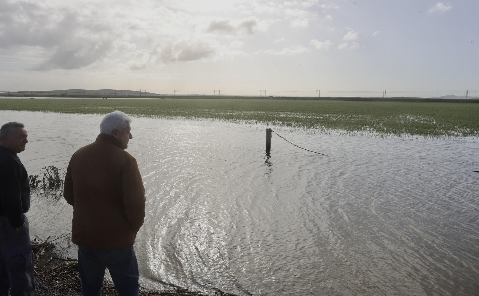 El campo en Lebrija inundado tras las lluvias