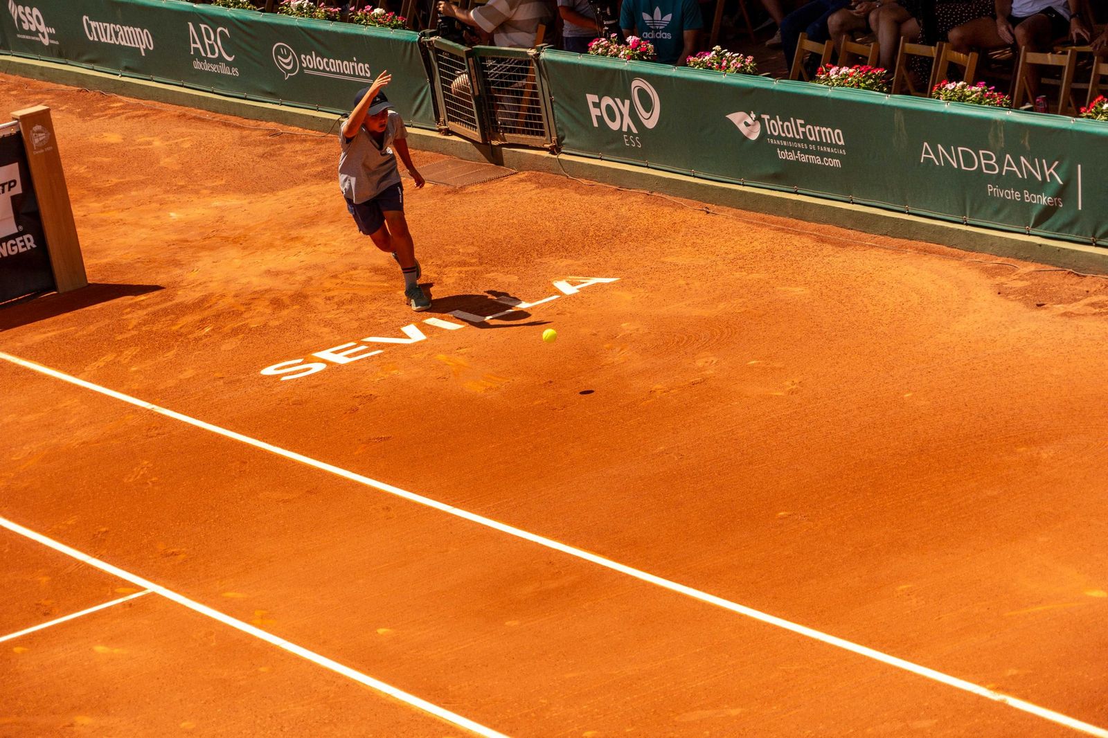 Buse - Taberner (1).jpg