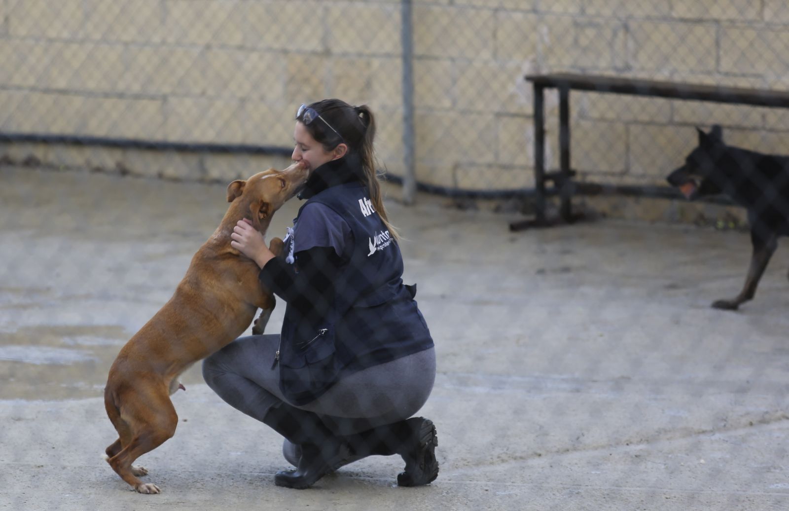 Una cuidadora de la protectora.
