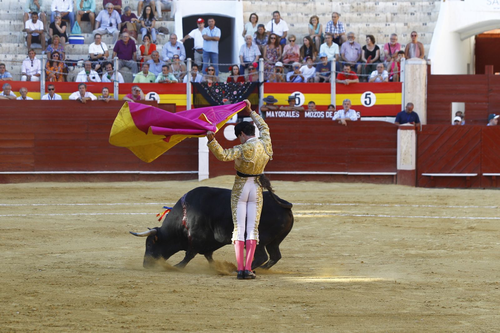 Fotogalería de la novillada de la Feria Taurina de Almería 2022