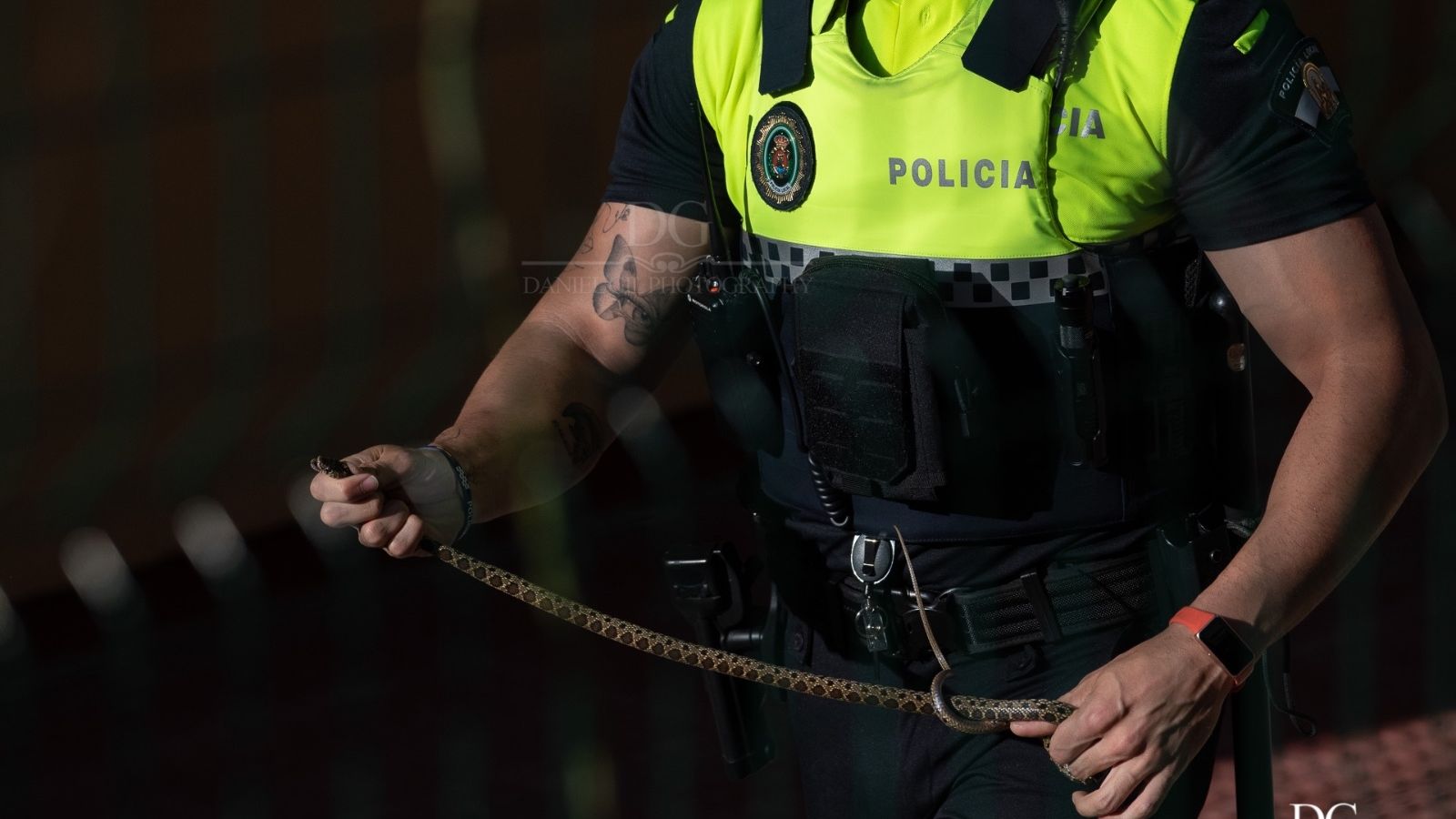 La culebra, capturada por un policía local.