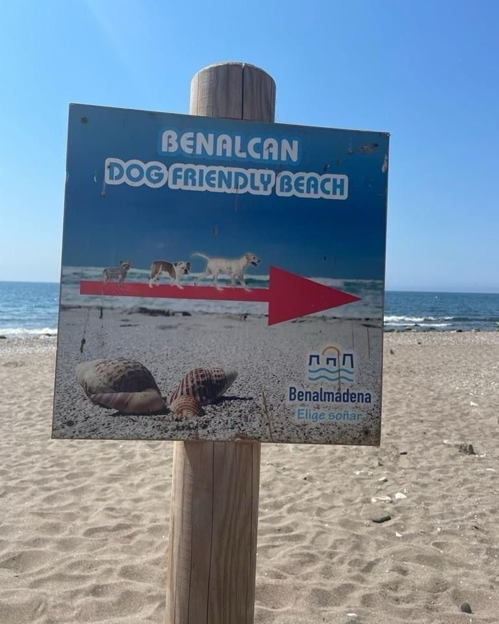 Un cartel anunciador de la playa canina.