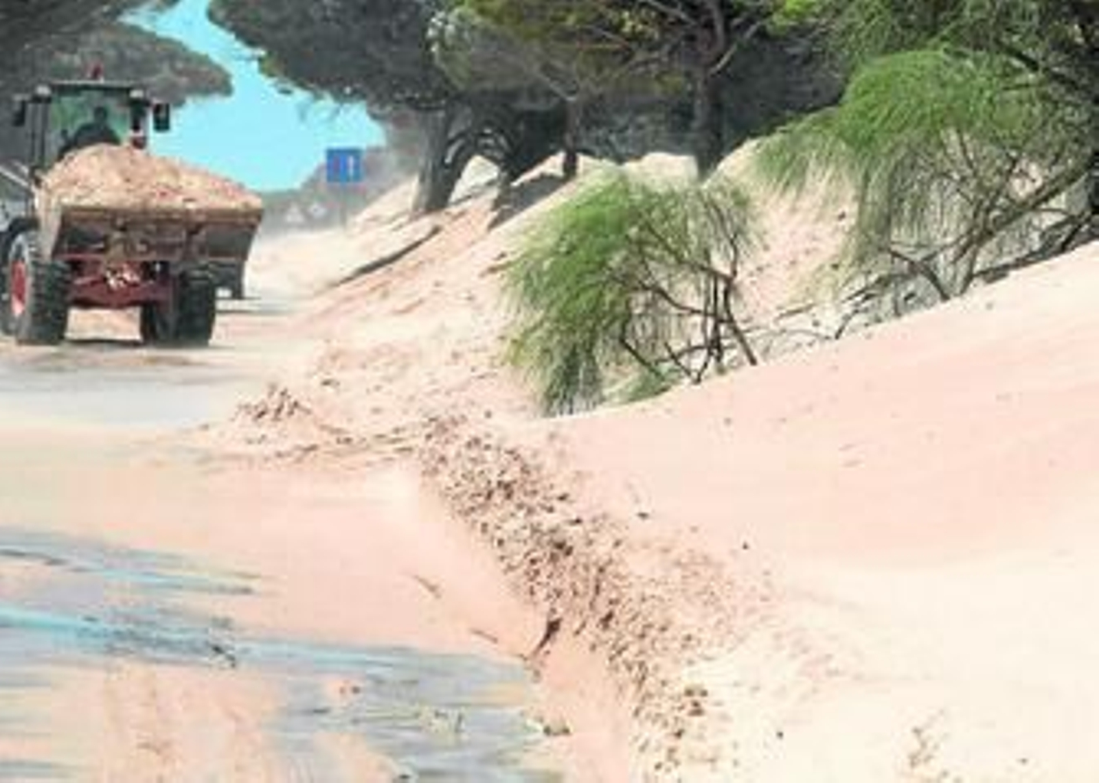 Un tractor retirando arena de la duna de Valdevaqueros para despejar la carretera, hace unas semanas.
