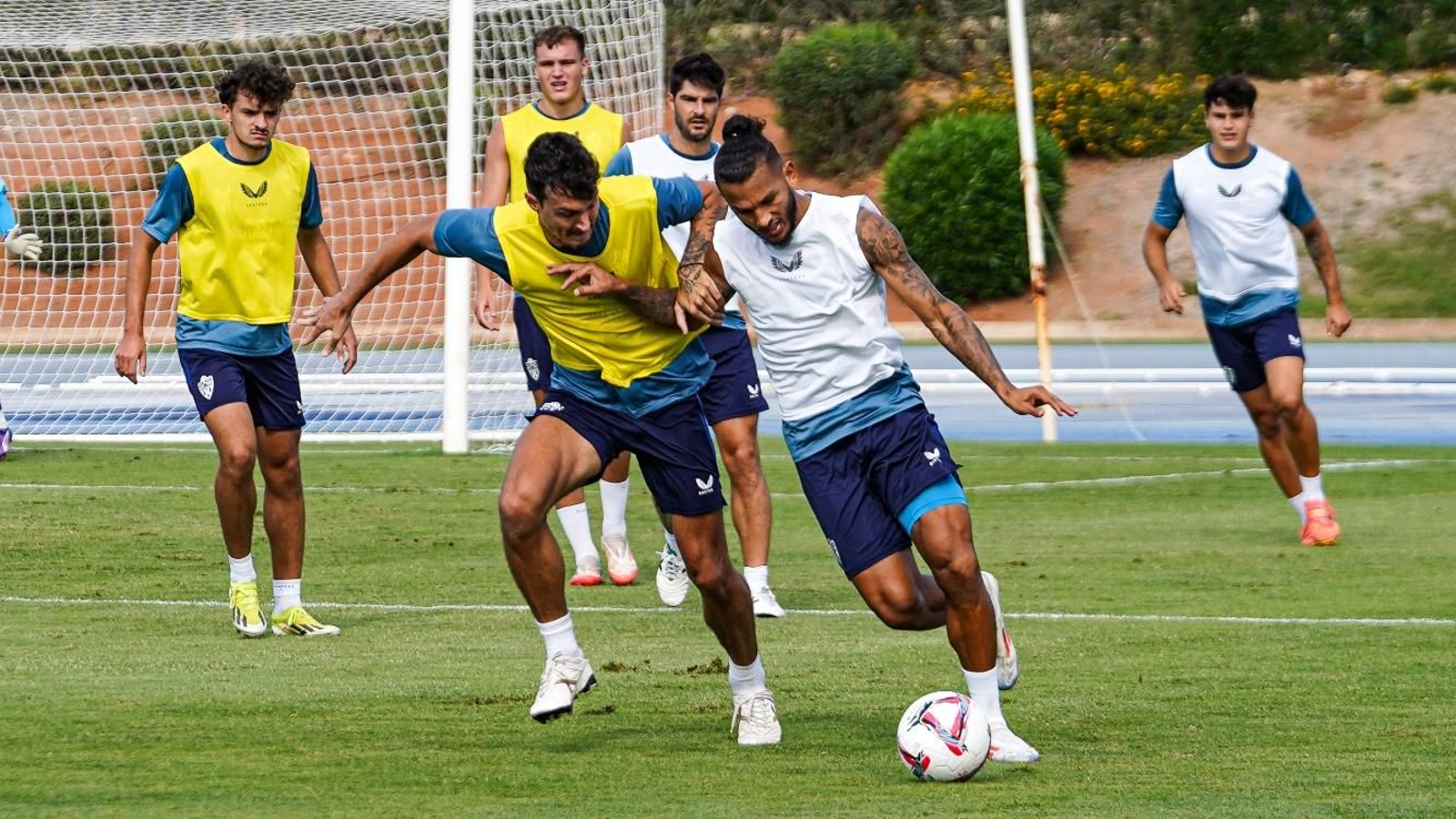 Radovanovic y Luis Suárez pugnan en una de las sesiones de esta semana.