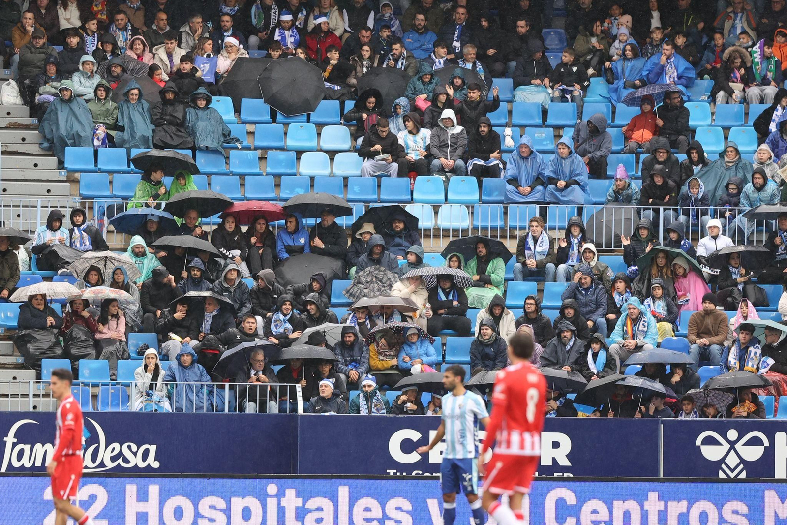 Búscate en las gradas de La Rosaleda en el Málaga CF-Almería