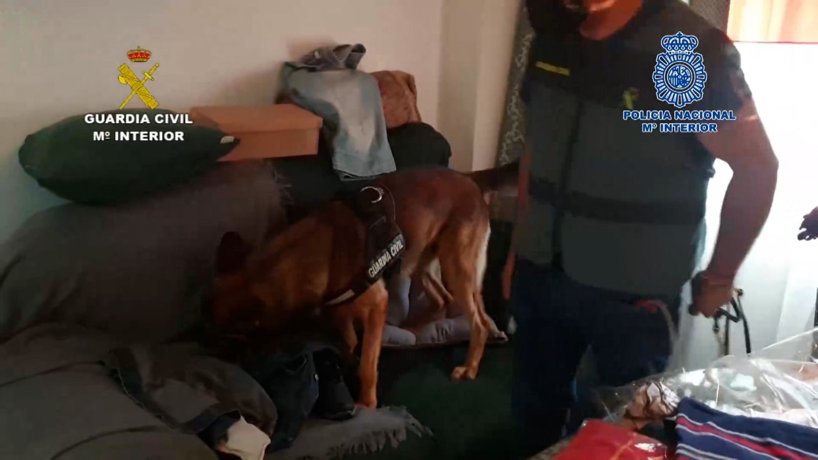 Fotos de la operación antidroga contra una red del Messi del Hachís